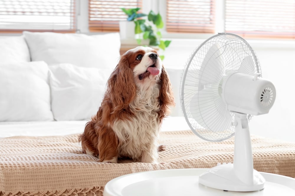 What Are the Signs of Air Conditioner Repair?