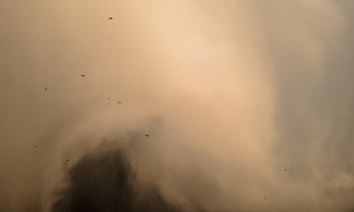 dusty weather