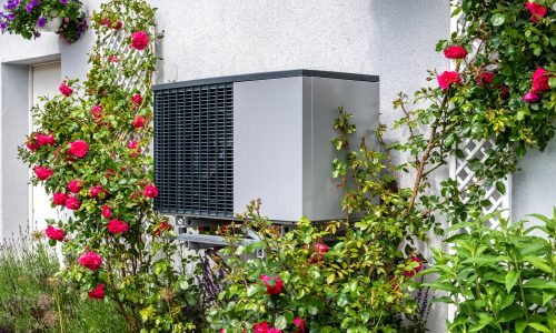 outdoor unit of a heat pump heating system surrounded by flowers