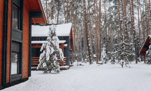 snow covered houses